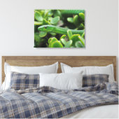 東グリーンマンバ(Dendroaspis Angusticeps) キャンバスプリント (インサイチュ (寝室))