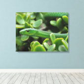 東グリーンマンバ(Dendroaspis Angusticeps) キャンバスプリント (インサイチュ (ウッドフロア))