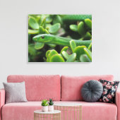 東グリーンマンバ(Dendroaspis Angusticeps) キャンバスプリント (インサイチュ (リビング))