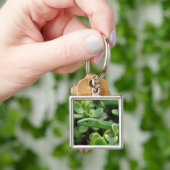 東グリーンマンバ(Dendroaspis Angusticeps) キーホルダー (手)