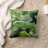 東グリーンマンバ(Dendroaspis Angusticeps) クッション (ブランケット)