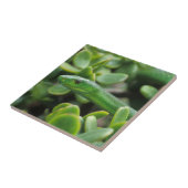 東グリーンマンバ(Dendroaspis Angusticeps) タイル (側面)