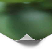 東グリーンマンバ(Dendroaspis Angusticeps) ポスター (角)