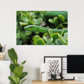 東グリーンマンバ(Dendroaspis Angusticeps) ポスター (ホームオフィス)