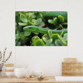 東グリーンマンバ(Dendroaspis Angusticeps) ポスター (キッチン)