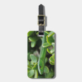 東グリーンマンバ(Dendroaspis Angusticeps) ラゲッジタグ (正面縦)