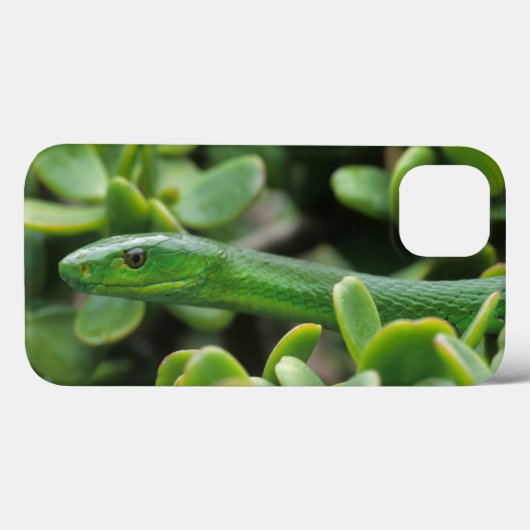 東グリーンマンバ(Dendroaspis Angusticeps) Case-Mate iPhoneケース (裏面 (横))