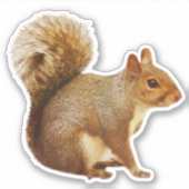東グレーのリスのシール シール (正面)
