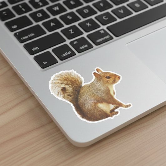 東グレーのリスのシール シール