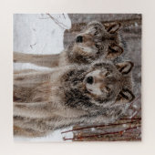 東グレーウルフ ジグソーパズル (横)