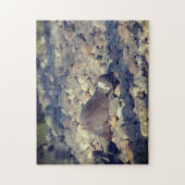 東サセックスのドルーシラス動物園で短拍手を送ったオッター ジグソーパズル (縦)