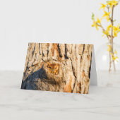 東スクリューフクロウ カード (黄色い花)