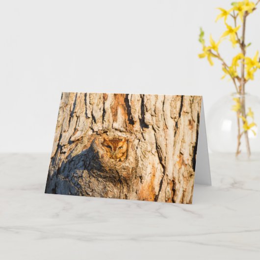 東スクリューフクロウ カード (黄色い花)