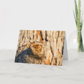 東スクリューフクロウ カード (正面)