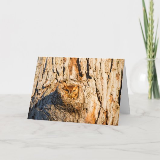 東スクリューフクロウ カード (正面)