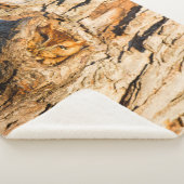 東スクリューフクロウ シェルパブランケット (3/4)