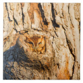 東スクリューフクロウ タイル (正面)