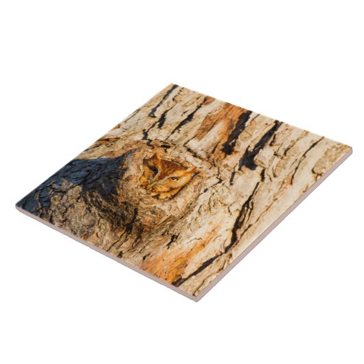 東スクリューフクロウ タイル (側面)