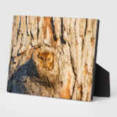 東スクリューフクロウ フォトプラーク (側面)