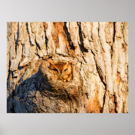 東スクリューフクロウ ポスター (正面)