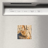 東スクリューフクロウ マグネット (インサイチュ (食洗機))