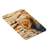 東スクリューフクロウ マグネット (右側)