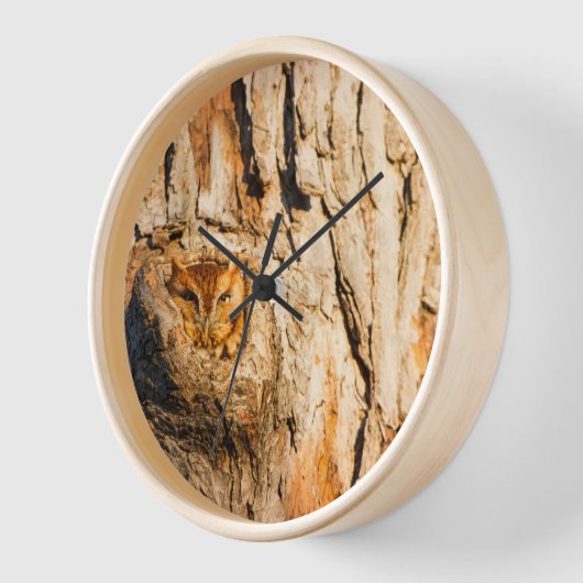 東スクリューフクロウ 壁時計 (傾斜)