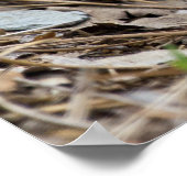 東タイガーアゲハチョウバタフライバイオリーブポスター ポスター (角)