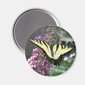 東タイガーアゲハチョウ磁石 マグネット (正面/裏面)