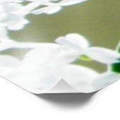 東タイガーアゲハチョウ蝶の写真 フォトプリント            (角)