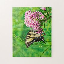 東タイガーアゲハチョウ蝶