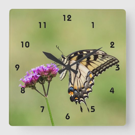 東タイガーアゲハチョウ蝶 スクエア壁時計 (正面)