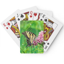 東タイガーアゲハチョウ蝶