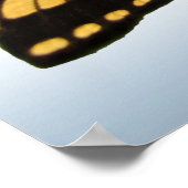 東タイガーアゲハチョウ蝶 ポスター (角)