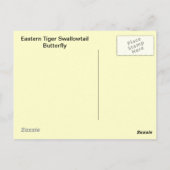 東タイガーアゲハチョウ蝶 ポストカード (裏面)