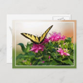 東タイガーアゲハチョウ蝶 ポストカード (正面/裏面)