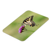 東タイガーアゲハチョウ蝶 マグネット (左側)