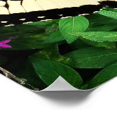 東タイガーアゲハチョウ蝶#1ポスター ポスター (角)