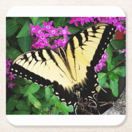 東タイガーアゲハチョウ蝶#1 スクエアペーパーコースター
