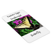 東タイガーアゲハチョウ蝶#1 マグネット (右側)