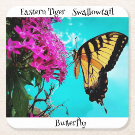 東タイガーアゲハチョウ蝶#2 スクエアペーパーコースター