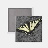 東タイガー磁石 マグネット (正面/裏面)