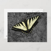 東タイガー葉書 ポストカード (正面/裏面)