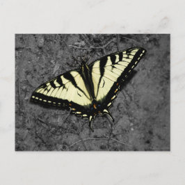 東タイガー葉書 ポストカード