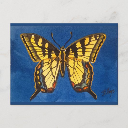 東タイガー蝶はがき ポストカード (正面)