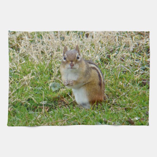 東チムンク キッチンタオル (横)