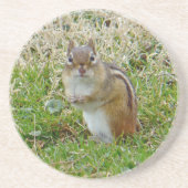 東チムンク コースター (正面)