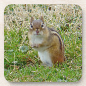 東チムンク コースター (正面)