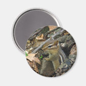 東チムンク – タミアス線虫 マグネット (正面/裏面)