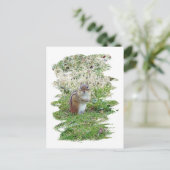 東チムンク ポストカード (スタンド正面)